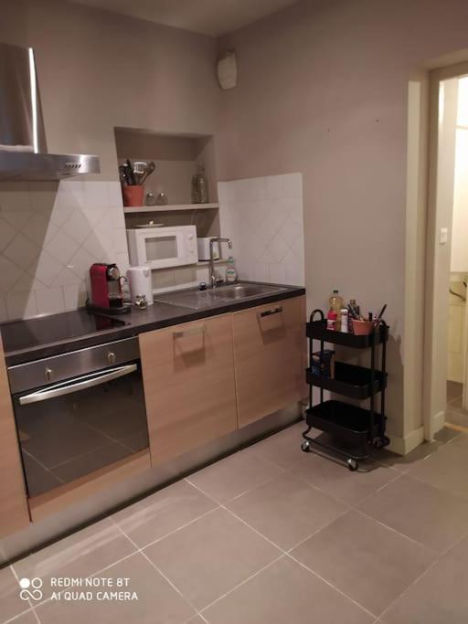 Bel Appartement Dans Centre Historique Avignon Eksteriør billede